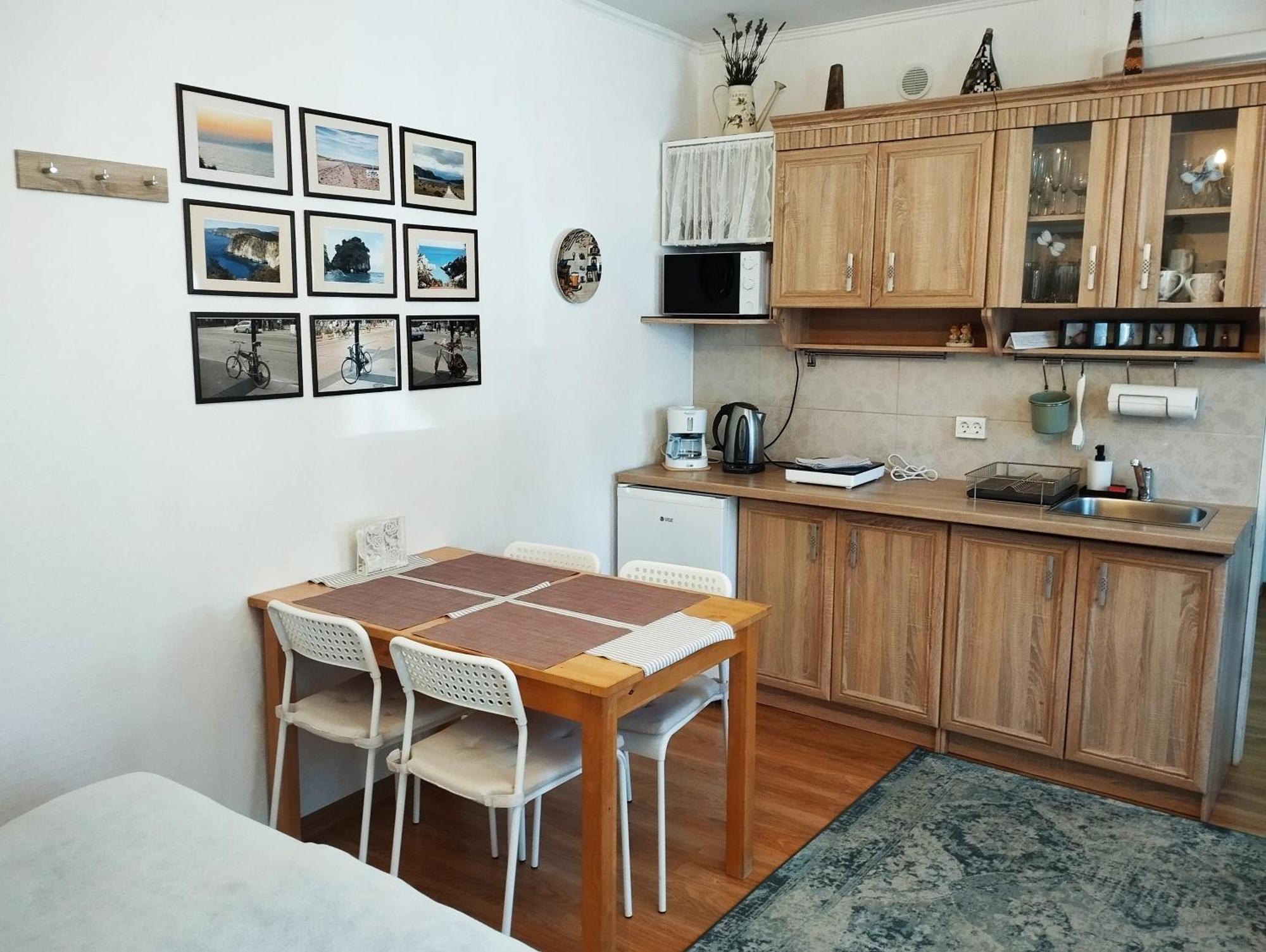 Eco-Lux Apart With Free Bicycles End Free Parking Ljubljana Exterior photo
